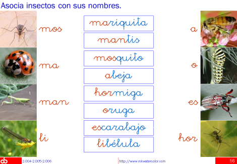 Lectura y vocabulario