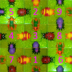Resolver y solucion de un 3D Squares de insectos